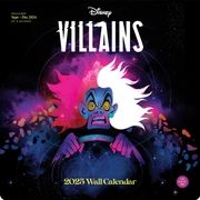 Disney Villains 2025  9781797228815