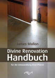 Divine Renovation Handbuch Mallon, James 9783864000218