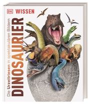 DK Wissen - Dinosaurier Woodward, John 9783831040063