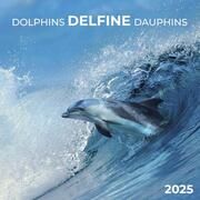 Dolphins/Delfine 2025  9783959294508