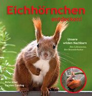 Eichhörnchen entdecken! Alber, Birte/Cording, Carsten (Dr.) 9783895664410