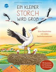 Ein kleiner Storch wird groß. Eine Geschichte mit vielen Sachinformationen Reichenstetter, Friederun 9783401716022