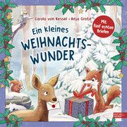 Ein kleines Weihnachtswunder von Kessel, Carola 9783961292561