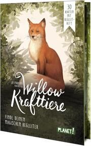 Ein Mädchen namens Willow: Krafttiere Bohlmann, Sabine 9783522507875