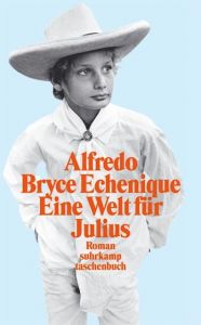 Eine Welt für Julius Bryce Echenique, Alfredo 9783518455562
