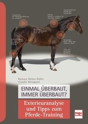 Einmal überbaut, immer überbaut? Welter-Böller, Barbara/Weingand, Claudia 9783275021512