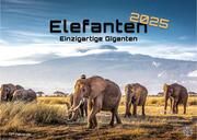 Elefanten - einzigartige Giganten - 2025 - Kalender DIN A3  9783986733933