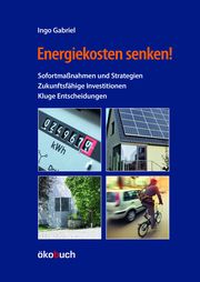 Energiekosten senken! Gabriel, Ingo 9783947021369