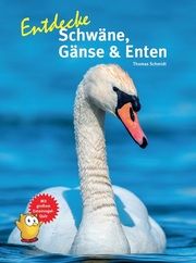 Entdecke Schwäne, Gänse & Enten Schmidt, Thomas 9783866594906