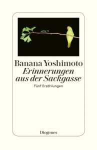 Erinnerungen aus der Sackgasse Yoshimoto, Banana 9783257300567