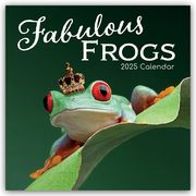 Fabulous Frogs - Fabelhafte Frösche 2025 - 16-Monatskalender  9781835360408