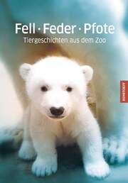 Fell - Feder - Pfote Bluhm, Dörte 9783356024487