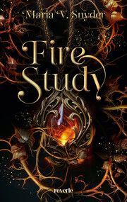 Fire Study Snyder, Maria V 9783745704624