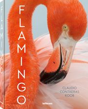 Flamingo Contreras Koob, Claudio 9783961713875