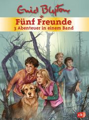 Fünf Freunde - 3 Abenteuer in einem Band Blyton, Enid 9783570157886