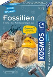 Fossilien  4002051657918