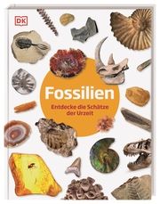 Fossilien Lomax, Dean 9783831044610