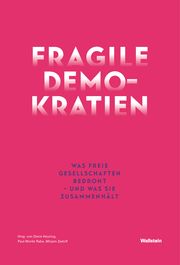 Fragile Demokratien Denis Heuring/Paul-Moritz Rabe/Mirjam Zadoff 9783835354944