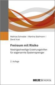Freiraum mit Risiko Schwabe, Mathias/Stallmann, Martina/Vust, David 9783779964117