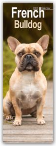 French Bulldog 2025  9781804605066