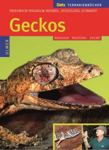 Geckos Henkel, Friedrich Wilhelm/Schmidt, Wolfgang 9783800138548