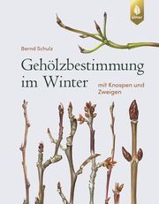 Gehölzbestimmung im Winter Schulz, Bernd 9783818611385