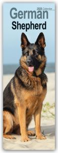 German Shepherds - Deutsche Schäferhunde 2025  9781804605073