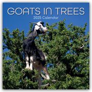 Goats in Trees - Ziegen auf Bäumen 2025 - 16-Monatskalender  9781835360637