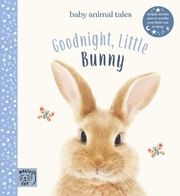 Goodnight, Little Bunny Wood, Amanda 9781916180505