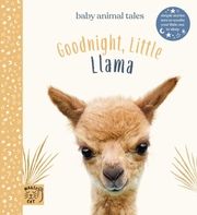 Goodnight Little Llama Wood, Amanda 9781913520021
