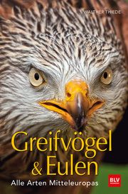 Greifvögel & Eulen Thiede, Walther 9783835418981
