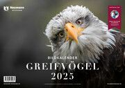 Greifvögel 2025  9783788820985