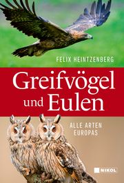 Greifvögel und Eulen Heintzenberg, Felix 9783868207521