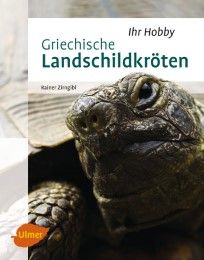 Griechische Landschildkröten Zirngibl, Rainer 9783800103287