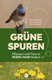 Grüne Spuren Steinecke, Hilke/Schmidt, Marco/Schubert, Peter 9783955424626