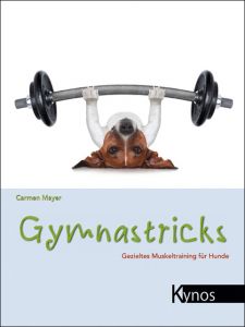 Gymnastricks Mayer, Carmen 9783954640065