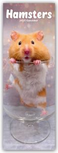 Hamsters - Hamster 2025  9781804605257