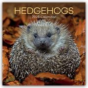 Hedgehogs - Igel 2025 - 16-Monatskalender  9781835360729
