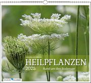 Heilpflanzen rund um den Bodensee 2025 Lochmaier, Evelyn 9783861924302