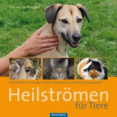 Heilströmen für Tiere von der Brüggen, Tina 9783886279111