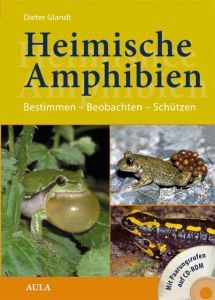 Heimische Amphibien Glandt, Dieter 9783891047538