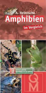 Heimische Amphibien im Vergleich  9783494016795