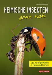Heimische Insekten ganz nah Hoch, Hannelore 9783494019802
