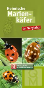 Heimische Marienkäfer Quelle & Meyer Verlag 9783494019130