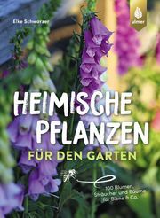 Heimische Pflanzen für den Garten Schwarzer, Elke 9783818613655