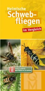 Heimische Schwebfliegen Quelle & Meyer Verlag 9783494017754