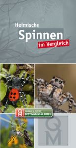 Heimische Spinnen Quelle & Meyer Verlag 9783494019086