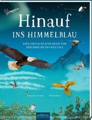 Hinauf ins Himmelblau Accinelli, Gianumberto 9783845855424