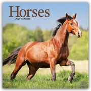 Horses - Pferde 2025 - 16-Monatskalender  9781804604380