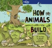 How Animals Build Butterfield, Moira 9781786576620